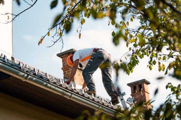 Sealant for Roof in Swansea, IL