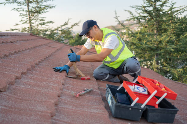Best Roof Gutter Cleaning  in Swansea, IL