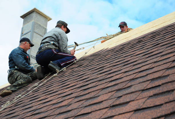 Best Local Roofing Companies  in Swansea, IL