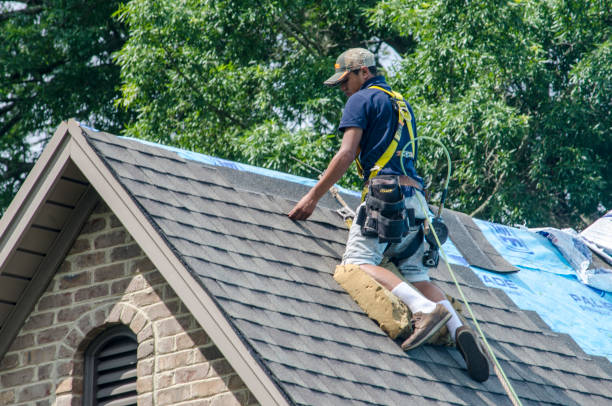 Best New Roof Installation  in Swansea, IL